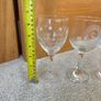 Vintage Irish Cage Bird Society Glasses Image 2