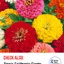 Over 25 types of Zinnia seeds from 1 euro Image 7