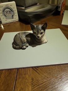 Cat ornament