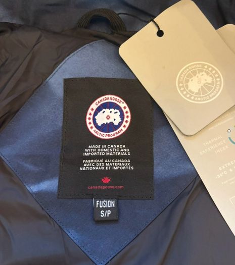 canada goose