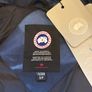 canada goose Image 5