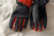 ski gloves