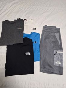 Mens t shirts  the northface