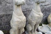 Italian Hounds EG006