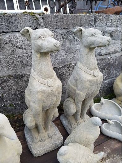 Italian Hounds EG006