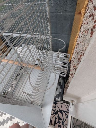 bird cage