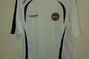 offaly gaa jersey