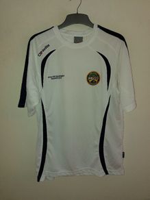 offaly gaa jersey