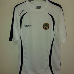 offaly gaa jersey
