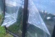 window