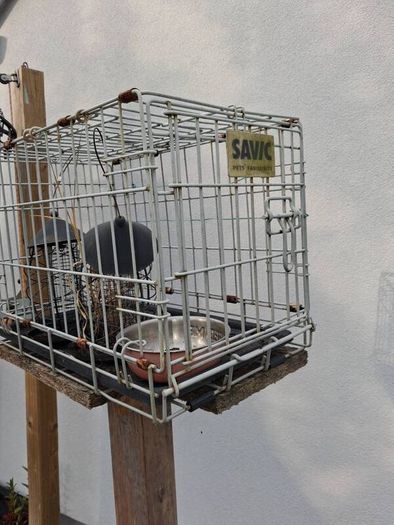 Bird feeder cage