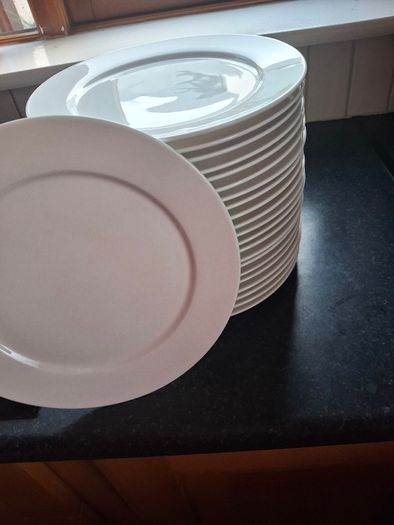 Dinner plates