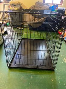Large Dog Cage