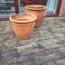 garden Image 2