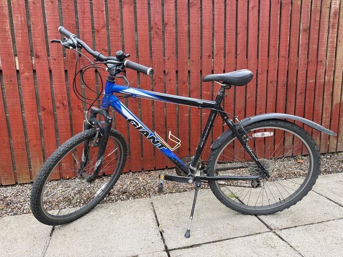 Giant bike