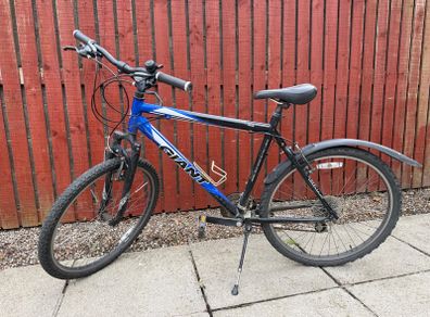 Giant bike