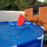 Intex Swimming Pool Image 5