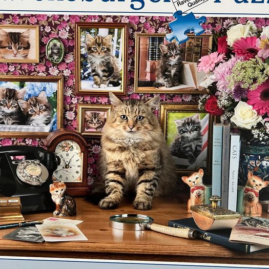Puzzle by Ravensburger cat