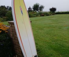 Surf Board