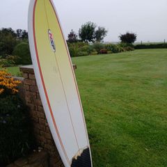Surf Board