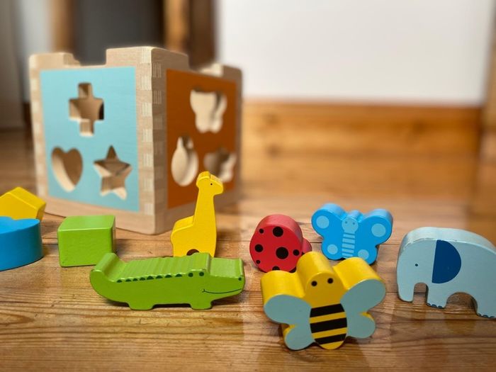 Wooden shape sorter