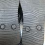 Boys Shark flip flops Image 4