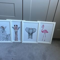 Animal Framed Prints x 4