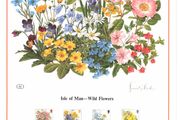1987 Isle of Man Limited Edition Lithographed Print measuring 333mm X 257mm showing Wild Flowers Commemorative Stamps with First Day of Issue Cancel
