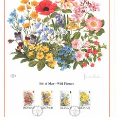 1987 Isle of Man Limited Edition Lithographed Print measuring 333mm X 257mm showing Wild Flowers Commemorative Stamps with First Day of Issue Cancel