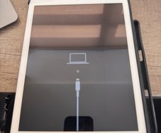 iPad 6th gen (for parts)