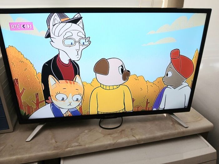 Sharp 32inch hdmi Saorview tv with dvd built in.