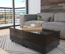 Coffee Table High Gloss Black 120x60x35 cm