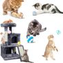 Pom Poms Cat Balls with Bells 6 Pieces 5cm Soft Toys for Kitten Indoor and Outdoor Playing, Chewing, Scratching Image 4