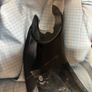 Arai-Shark Visors, Htc Pinlock Image 3