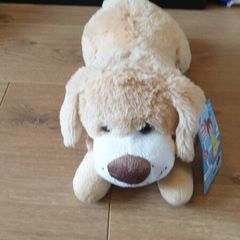 Dog teddy - brand new