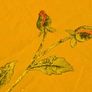Vintage Italian Silk Embroidered Rose Shawl /Tablecloth 220 times 220 cm Image 4