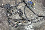 Suzuki bandit 600 mk2 wiring loom