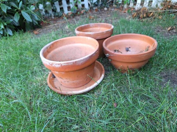 terracotta pots