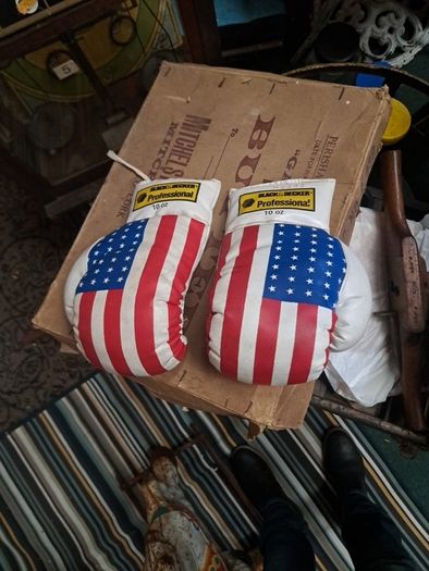 Vintage 10oz Boxing Gloves