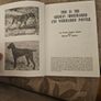 This Is The German Pointer. Shorthaired& Wirehaired. By Louise Zeigler Spirer & Herbert F.spirer. First Edition Hardback In Good Condition.  See Photos For Same. Image 5