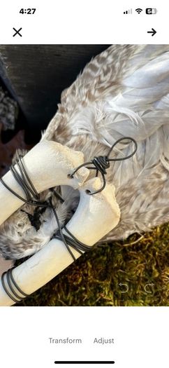 Incredibly Healing Spiritual Smudge Wand Taxidermy Wings Bone Art and Rose Quartz Crystal Wall Decor Display