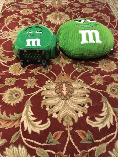 M&M Backpack + Cushion