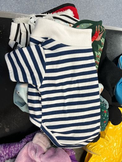 Pet clothing and nappies