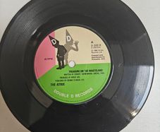 The Atrix, Treasure on the Wasteland 7", Irish New Wave