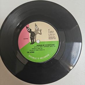 The Atrix, Treasure on the Wasteland 7", Irish New Wave