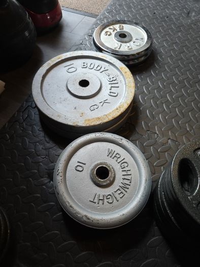 Dumbbells Cast Iron Weight Plates
