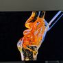Samsung S95c Oled Tv 65" Image 6