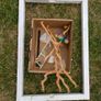 Bird cage medium size Image 3
