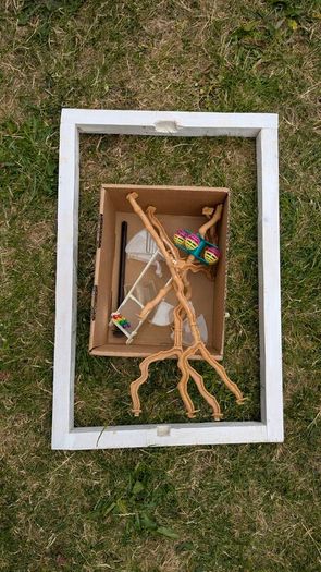 Bird cage medium size
