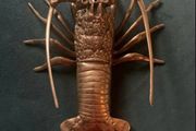 Vintage Brass Lobster